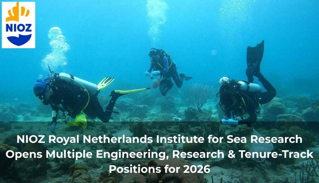Maastricht University, Netherlands Opens 40+ Academic, Research & Professional Positions for 2026